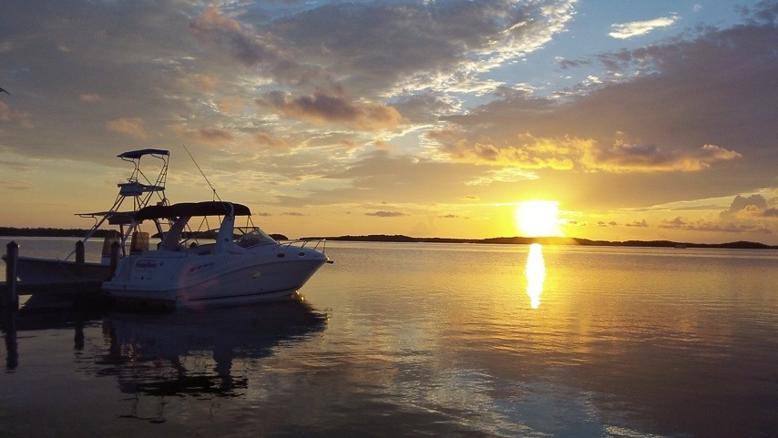 20110612-105138.jpg
